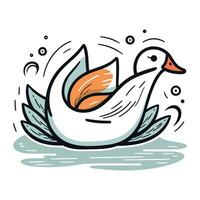 vetor ilustração do uma cisne em uma branco fundo. mão desenhado estilo.
