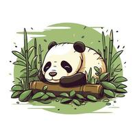 fofa panda Urso localização em bambu. vetor ilustração.