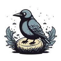 gralha. vetor ilustração do uma pássaro sentado em uma pedra.