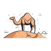 camelo em a areia. vetor ilustração do uma deserto animal.