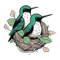 mão desenhado vetor ilustração do uma casal do pássaros sentado dentro uma ninho.