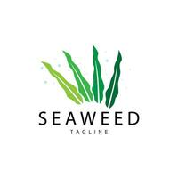 algas marinhas logotipo projeto, embaixo da agua plantar Projeto ilustrações, cosméticos e Comida ingrediente vetor