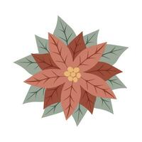 Natal Estrela vermelho flor poinsétia. símbolo do a inverno feriados. perfeito para Natal ou Novo ano cumprimento cartão Projeto vetor