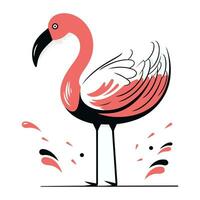 flamingo pássaro vetor ilustração. mão desenhado flamingo pássaro.