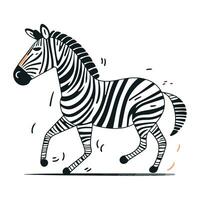 zebra. vetor ilustração. isolado em uma branco fundo.