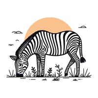zebra em a savana. vetor ilustração dentro plano estilo.