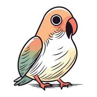vetor ilustração do uma fofa papagaio isolado em uma branco fundo.