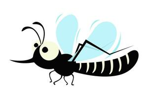mosquito vetor do dengue, zika, Chikungunya doença.
