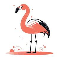 flamingo. vetor ilustração dentro plano estilo em branco fundo.