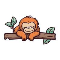 orangotango sentado em uma árvore ramo. desenho animado vetor ilustração.