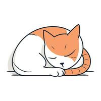 fofa gato dormindo em branco fundo. vetor ilustração dentro plano estilo.