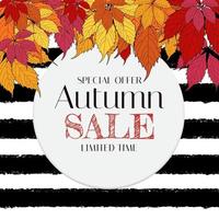 modelo de plano de fundo de venda de outono com folhas. oferta especial vetor