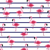 Flamingos em listras marinhas. vetor