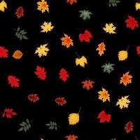 outono sem costura de fundo com folhas de outono caindo vetor