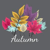 fundo de ilustração vetorial abstrato com folhas de outono caindo vetor