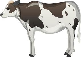 vaca ou gado de fazenda em fundo branco