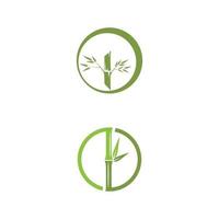 modelo de logotipo de bambu ilustração vetorial ícone design vetor