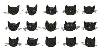 mão desenhado gato focinho clipart. fofa animal face rabisco conjunto vetor