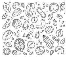 nozes e sementes conjunto linear de ícones, estilo doodle
