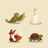 animais dos desenhos animados papagaio coelho raposa e tartarugas selvagens vetor