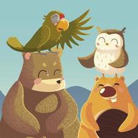 animais dos desenhos animados urso castor papagaio e vida selvagem coruja vetor
