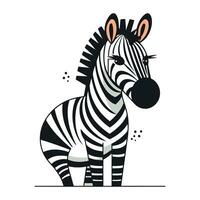 zebra vetor ilustração. isolado em branco fundo. vetor ilustração.