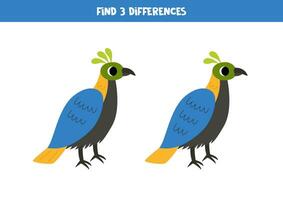encontrar 3 diferenças entre dois fofa desenho animado monal pássaros. vetor