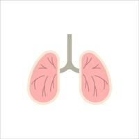 humano pulmões dentro seção. humano órgão Visão dentro vetor plano estilo