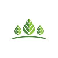 logotipos da ecologia de folhas verdes vetor