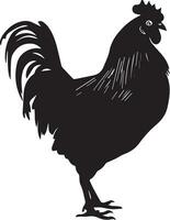 australorp frango vetor silhueta ilustração Preto cor 19