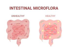 microflora saudável e insalubre. bactérias prejudiciais e benéficas vetor