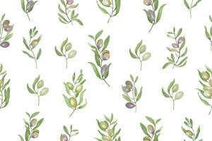 aguarela floral desatado padronizar. mão desenhado ilustração com oliveiras isolado em branco fundo. vetor