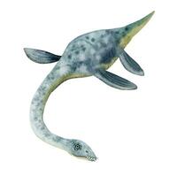 azul aguarela elasmosaurus plesiossauro. mão desenhado vetor realista natação embaixo da agua dinossauro