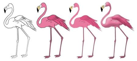 ilustração em vetor flamingo isolada em um fundo branco