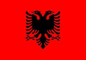 clássico bandeira Albânia. oficial bandeira Albânia com Tamanho proporções e original cor. padrão cor e tamanho. independência dia. bandeira modelo. nacional bandeira Albânia com casaco do braços. vetor
