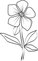 minimalista solteiro pervinca flor desenhos, pervinca flor vetor arte, esboço pervinca flor tatuagem, pequeno pervinca flor tatuagem, tinta ilustração clipart isolado em branco plano de fundo