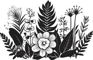 requintado ilha arte floral Projeto dentro Preto vetor botânico paraíso Preto logotipo com tropical florais