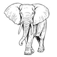 elefante caminhando esboço mão desenhado dentro rabisco estilo vetor ilustração