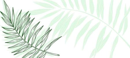 verde Palma folha esboço abstrato fundo papel de parede vetor