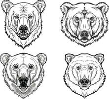 polar Urso cabeça ícone conjunto ilustração vetor