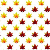 folhas de outono sem costura padrão isolado no branco. ilustração vetorial vetor