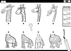 Combine metades atividade com desenho animado girafas coloração página vetor