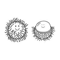 mão desenhado vetor ilustração cor crianças fofa sorridente fruta rambutan clipart