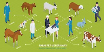 infográficos veterinários de animais de fazenda vetor