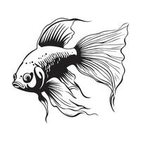 decorativo peixe vetor imagem, arte e ilustração