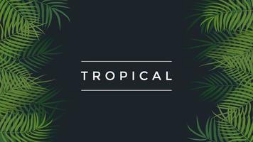 fundo tropical com folhas de palmeira vetor