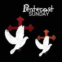 Pentecostes domingo pomba do espírito santo. vetor