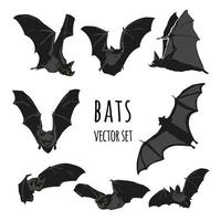 conjunto de vetores de morcego, ilustração de morcego de halloween