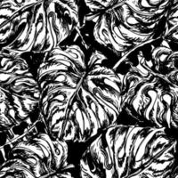 padrão preto e branco sem costura com folhas exóticas de munster vetor