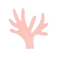 bonito mão desenhada coral rosa. ilustração vetorial. vetor